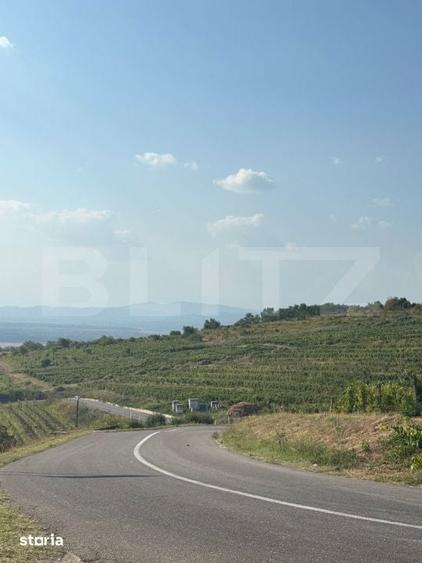Teren de 1700 mp, în Boldești