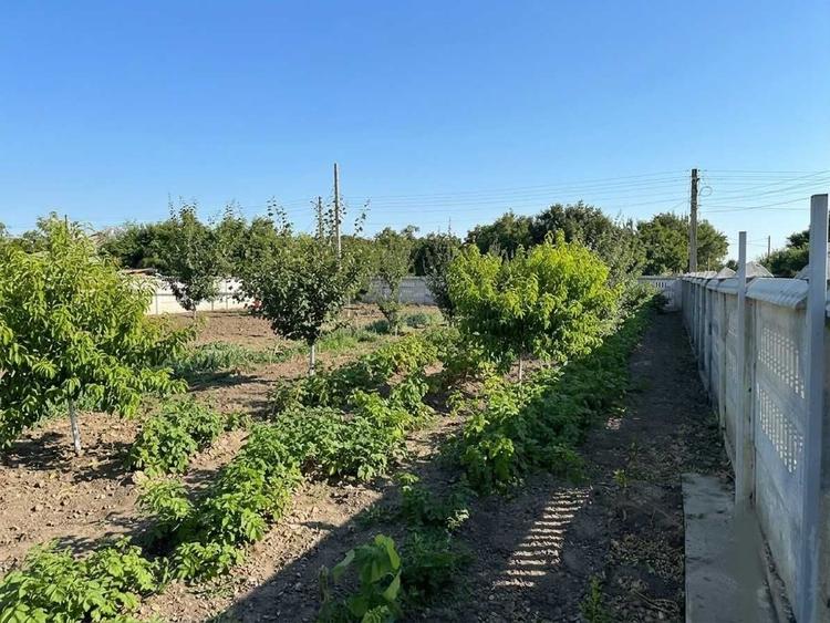 Vand casa in comuna Gemenele, 25 km de Braila. - 4