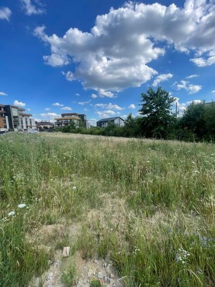 Teren Construcții intravilan de 1483 mp, în Tăuții-Măgherăuș