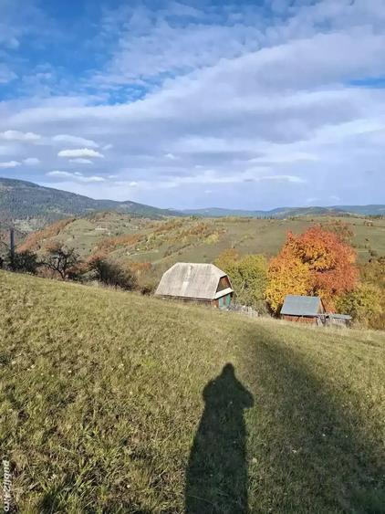 Teren de 25000 mp, în Bistra