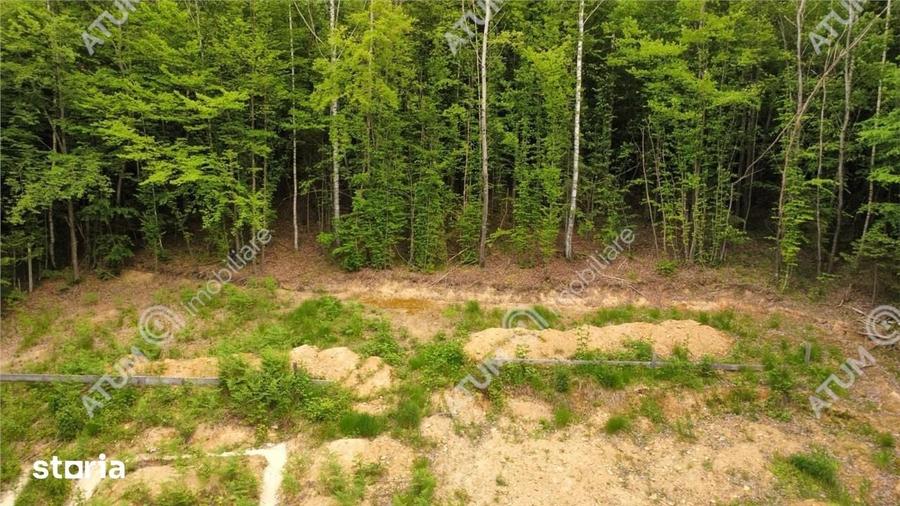 Teren de 3000 mp, în Porumbacu de Jos