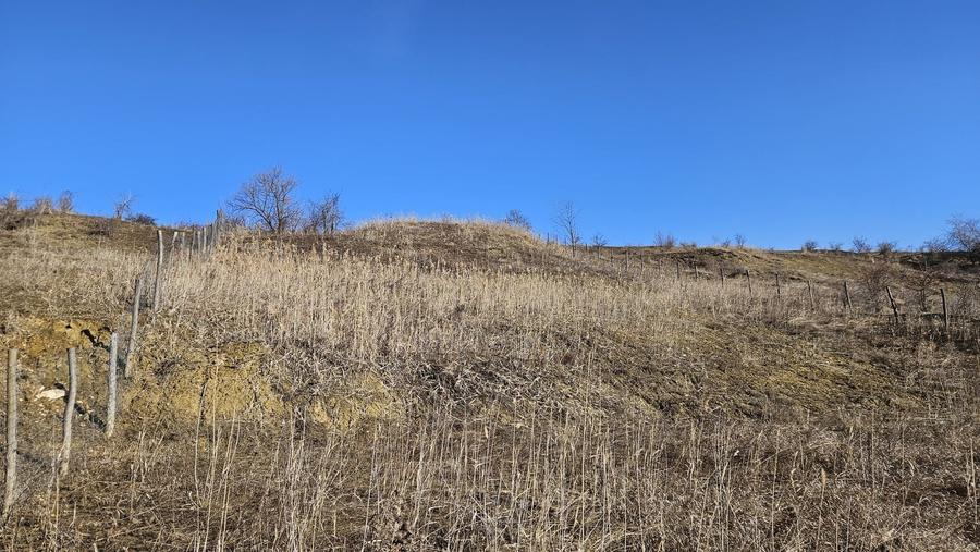Teren agricol extravilan de 5665 mp, în Iris