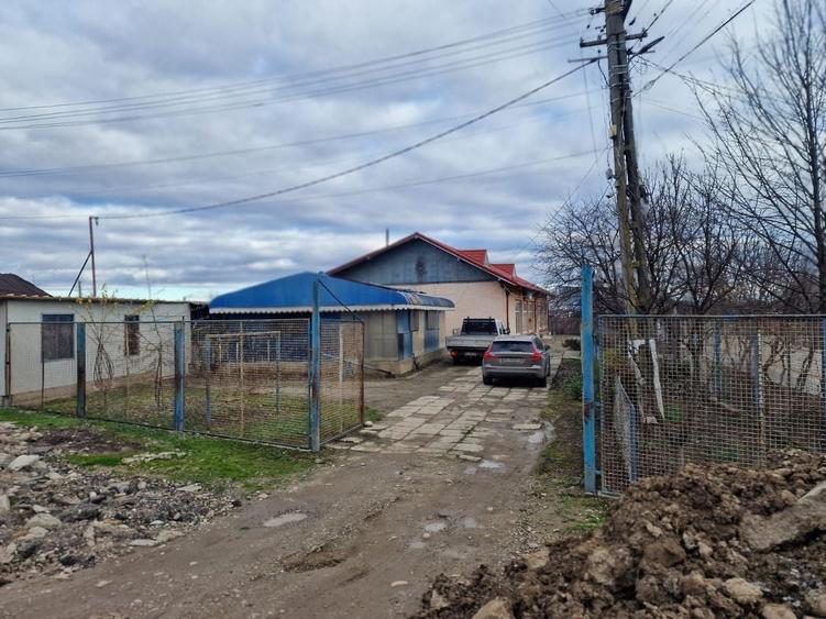 Spațiu industrial, de 287 mp, în Buciumi