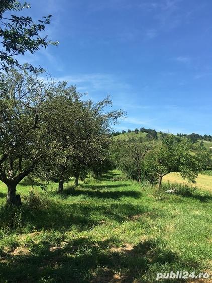 Casă în Tinăud