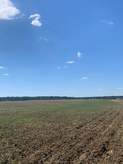 Teren Construcții intravilan de 4250 mp, în Snagov