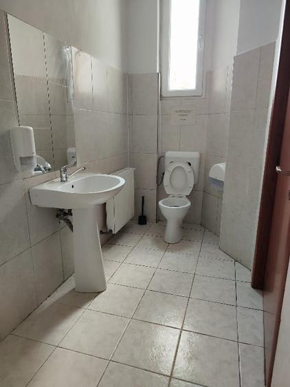 Casă individuală cu 5 camere cu Canalizare în Moșilor