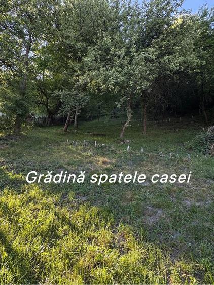 Casa cu teren de vanzare Petrila - 5