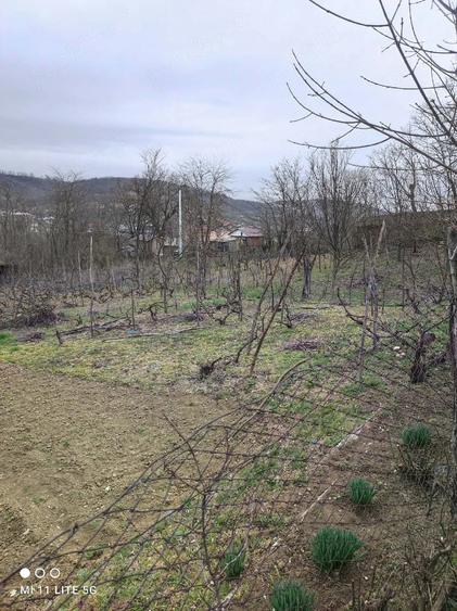Casă cu Teren 3000 Mp în Moscu
