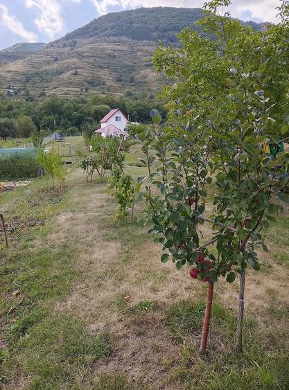 Casă cu 2 camere cu Teren 32 Mp în Central