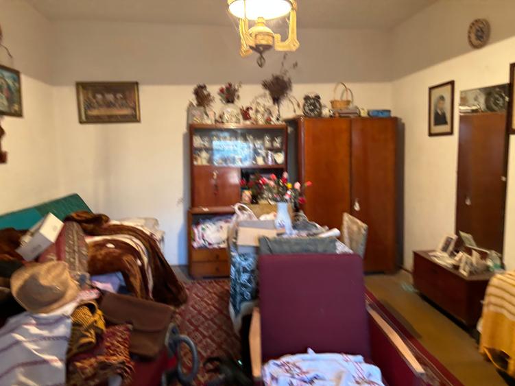 Casă individuală cu 3 camere cu Teren 1500 Mp în Bucovăț (Remetea Mare)