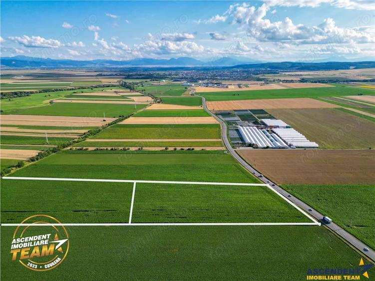 Teren de 30200 mp, în Valea Crișului