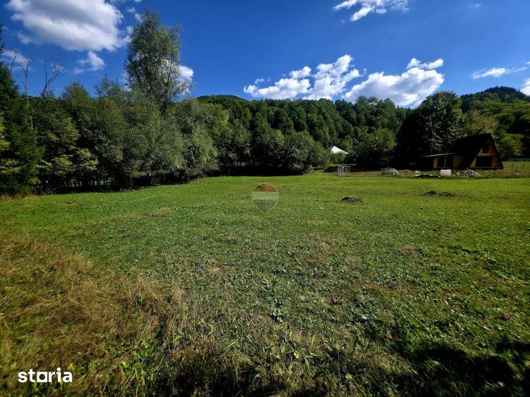 Teren de 1113 mp, în Tarcău