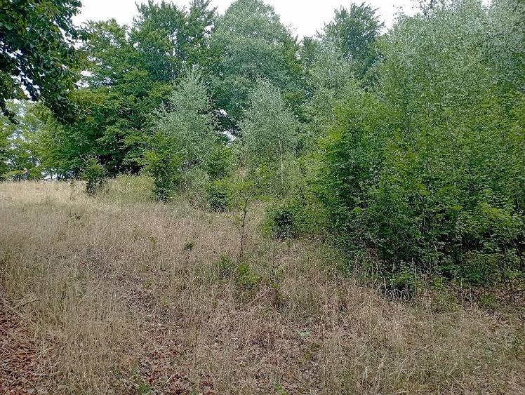 Teren de 3500 mp, în Valea Babei