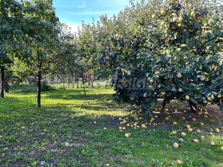 Casă individuală cu 6 camere cu Canalizare în Fratelia