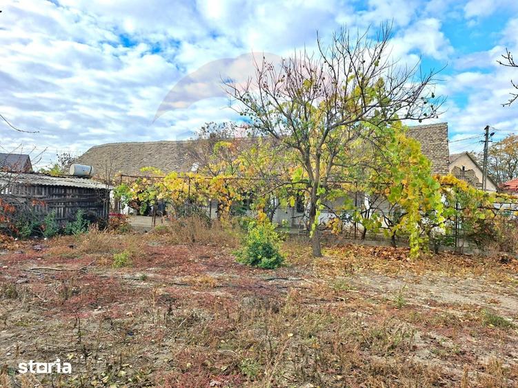 Casă cu 2 camere cu Teren 929 Mp în Vladimirescu