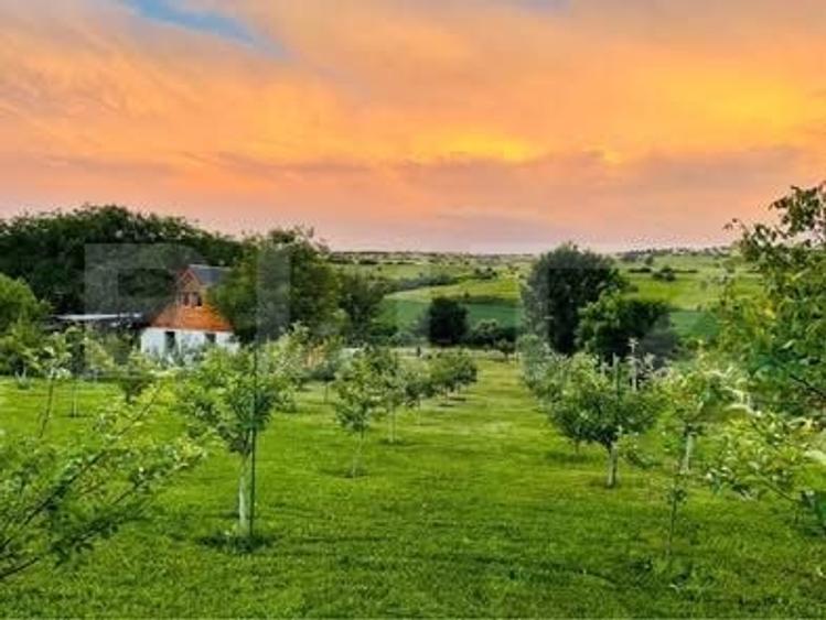Casă individuală cu 2 camere cu Teren 2499 Mp în Blaj