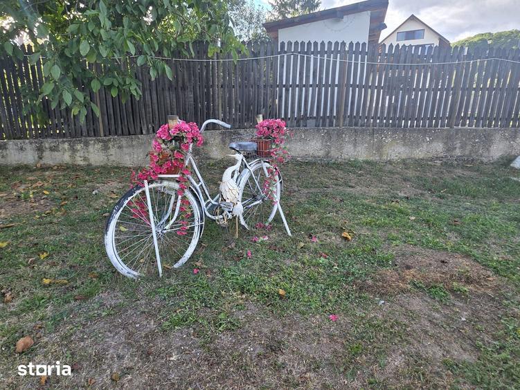 Casă cu 2 camere cu Teren 1300 Mp în Davidești