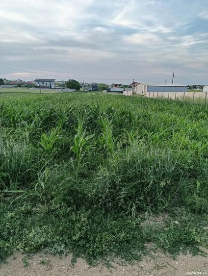 Teren de 2500 mp, în Central
