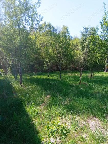 Teren de 1500 mp, în Vorța