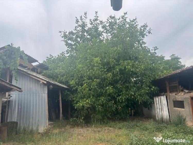Casă cu 1 camere cu Teren 2023 Mp în Leu