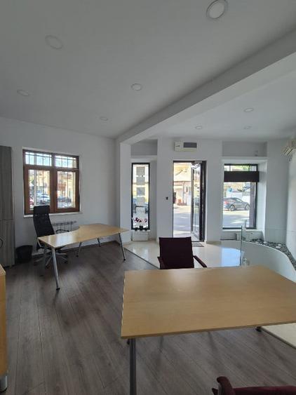 Proprietar,sp.comercial,cabinet,salon,agentie,Tineretului-Parcul Carol - 6