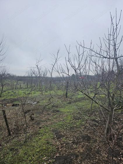 Casă cu Teren 1964 Mp în Vâlcelele