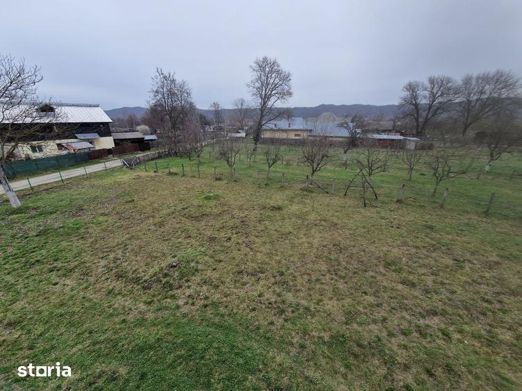Teren de 400 mp, în Domnești