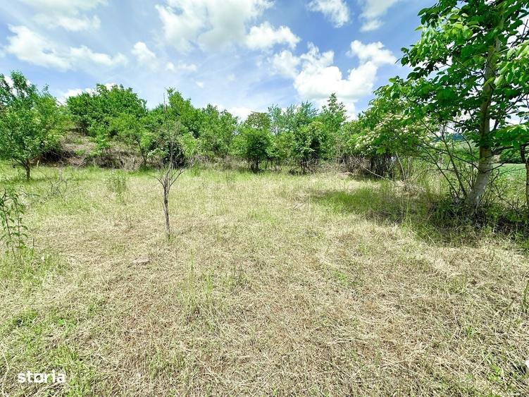 Casă cu 2 camere cu Teren 1384 Mp în Alma