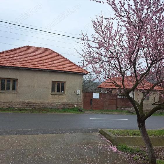 Casă cu 2 camere cu Teren 2200 Mp în Urviș de Beiuș