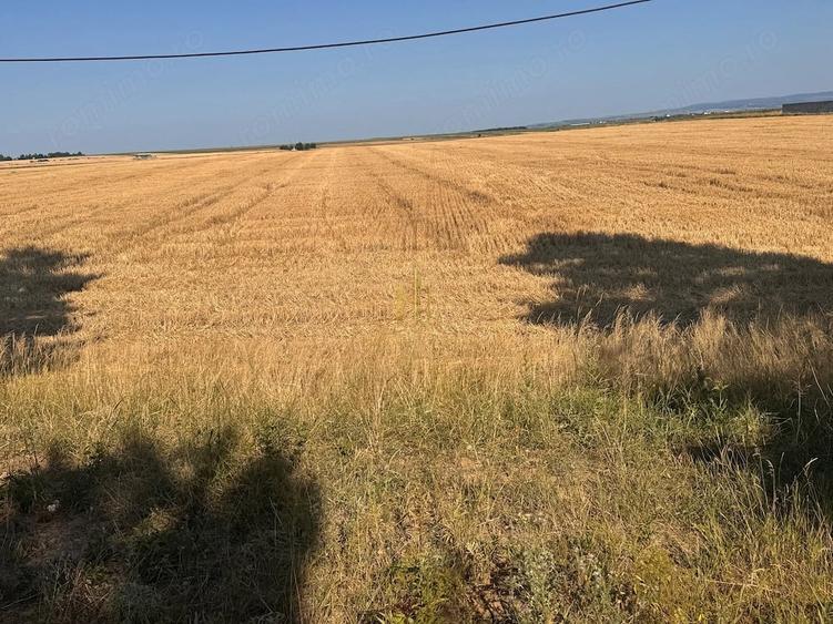 Teren de vanzare 10.200 mp, PlopeniSalcea, zona Aeroportului Suceava - 4