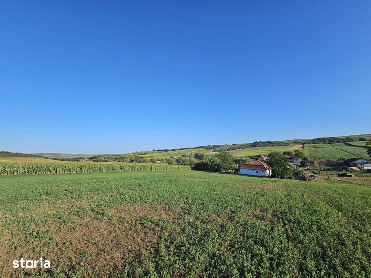 Casă cu 4 camere cu Teren 33000 Mp în Valea