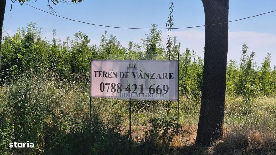 Spațiu comercial, în Est