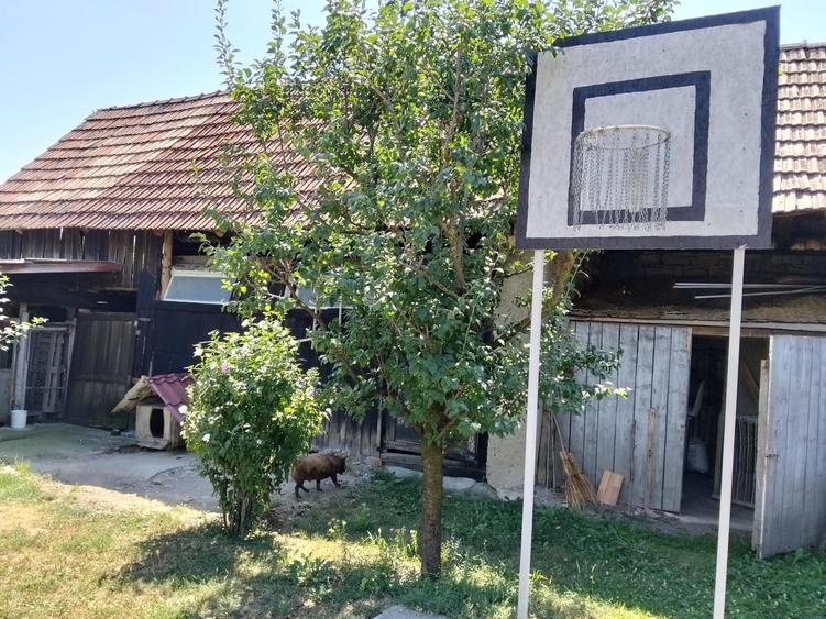Casă individuală cu 2 camere cu Teren 1400 Mp în Borșa