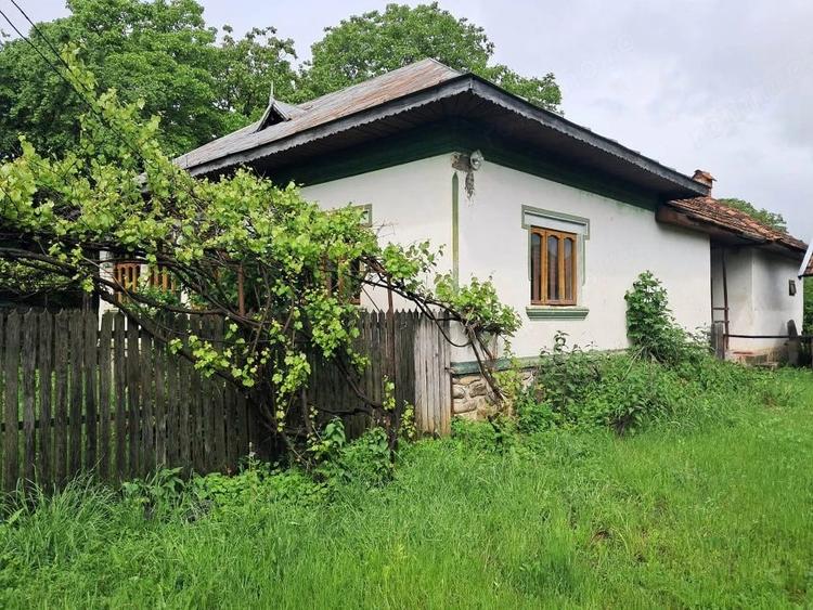 Casă cu 3 camere cu Teren 4350 Mp în Polovragi