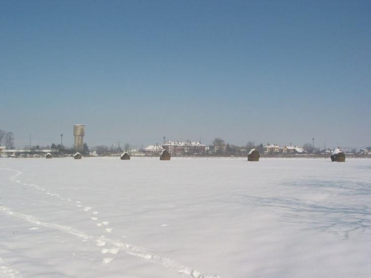 Teren de 1000 mp, în Ilia