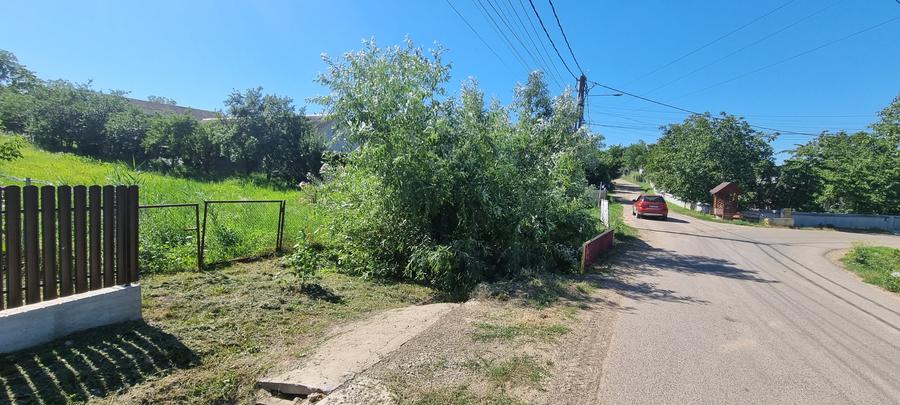 Teren Construcții intravilan de 2030 mp, în Mănăstirea Doamnei