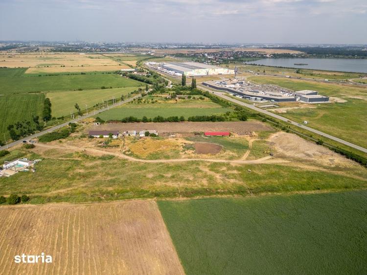 Teren de 30000 mp, în Cernica