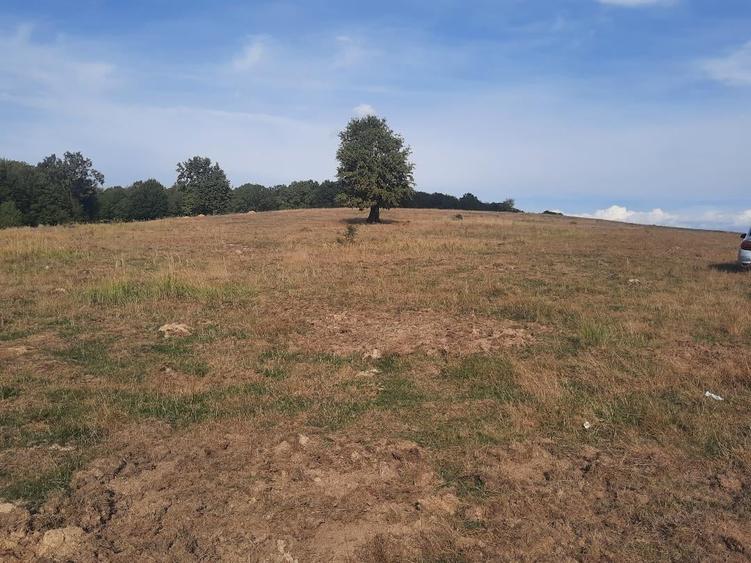 Teren Construcții extravilan de 10756 mp, în Dumbrăvița