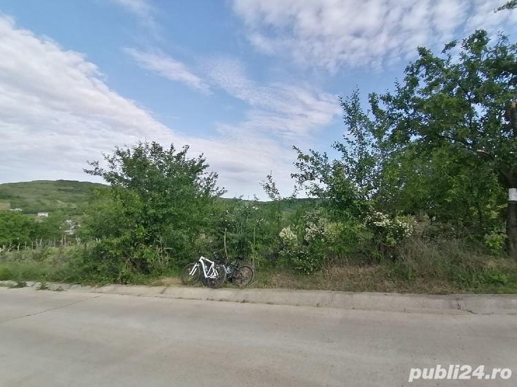 Teren de 5000 mp, în Uricani