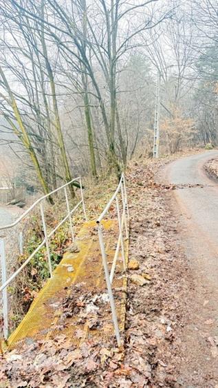 Teren intravilan de 24880 mp, în Griviței