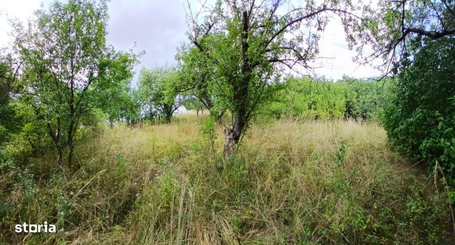 Casă cu 4 camere în Mănăstireni