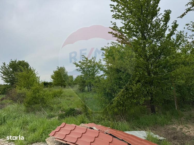 Spațiu comercial, în Ciolpani
