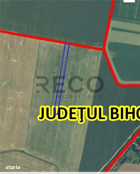 Teren de 5800 mp, în Nojorid
