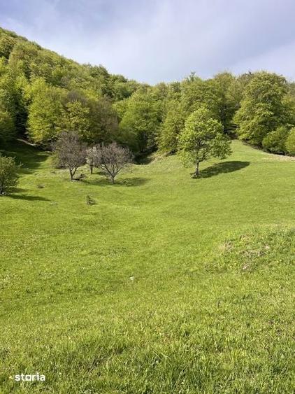Teren de 1900 mp, în Siriu