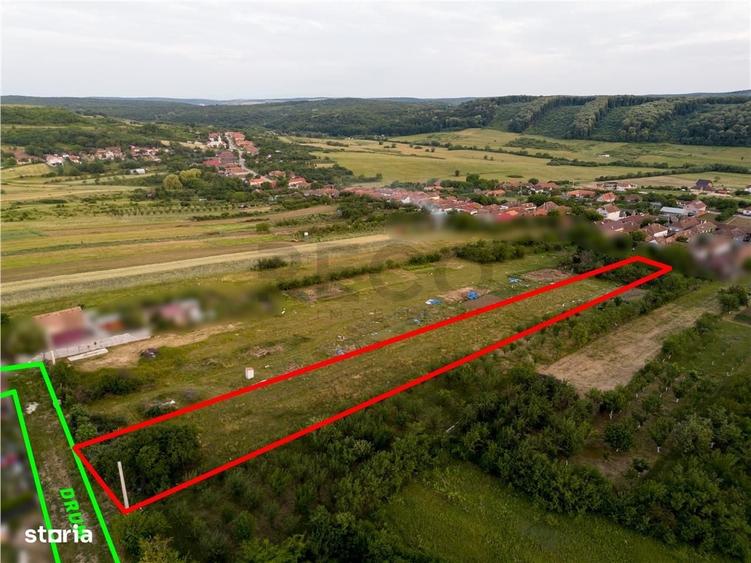 RECO Teren intravilan de vanzare Betfia, Bihor - 3000 mp, front strada - 7