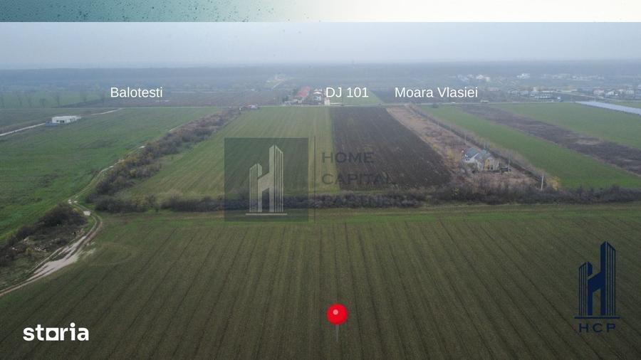 Teren de 10000 mp, în Dascălu