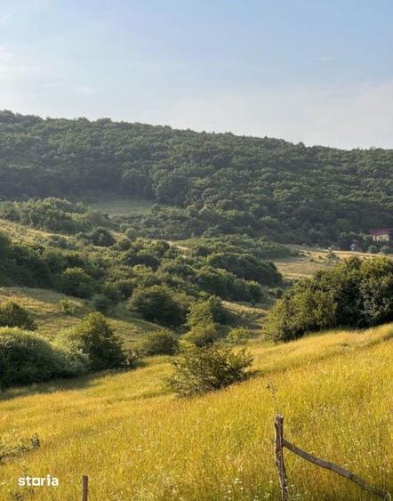 Teren de 1000 mp, în Florești