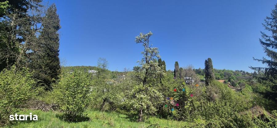 TEREN CU VEDERE PANORAMICA IN CENTRUL ISTORIC AL BRASOVULUI - 6