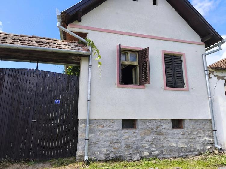 Casă cu Teren 5000 Mp în Apold