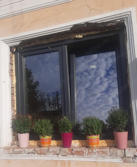 Casă cu 3 camere cu Teren 1750 Mp în Vișina